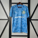 Camisa Palmeiras 25/26 Goalkeeper
