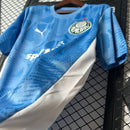 Camisa Palmeiras 25/26 Goalkeeper