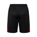 Kit de Treino adulto Bayern de Munique 2025/26 Short e Camisa