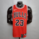 Bulls - Jordan I
