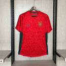 Camisa Sport Recife Treino  24/25 Umbro